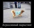 Куплю квартиру в Казани
