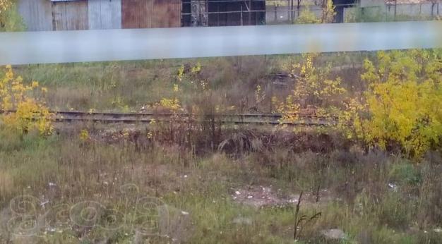 Земельный участок. Земли населенных пунктов 11036 кв м Татарстан